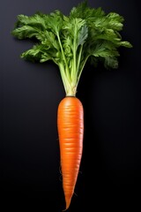Detailed close-up image of one carrot.
