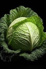 Obraz premium Detailed close-up image of one cabbage. 