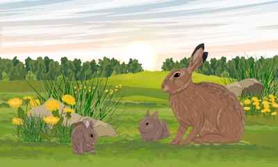A brown hare and two bunnies walks through a summer flowering field with dandelions. Animals of Europe. Realistic vector landscape