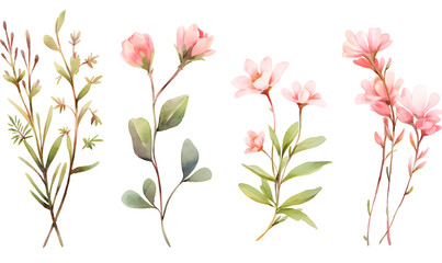 Watercolor pink flower object, Generative AI