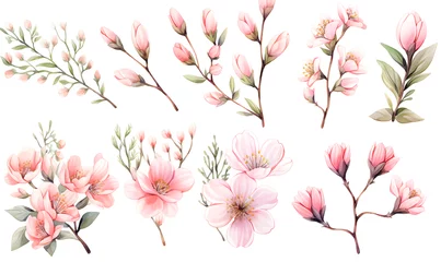 Foto op Canvas Watercolor pink flower object, Generative AI © simba kim