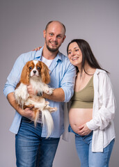 A pregnant woman with a bare belly sits on a blue armchair, holds a cocker spaniel in her arms and...