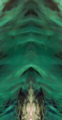 the spirit of the forest,   abstract symmetrical photograph of the deserts of U.S.A, from the air,...