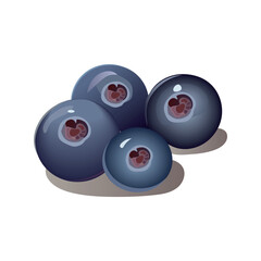 Berry of colorful set. This artwork masterfully captures the juicy essence of the bilberry through its bright and inviting design. Vector illustration.