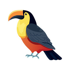 Bird of colorful set. The cartoon toucan invites viewers to embrace the tropical paradise it represents, good for projects focused on the beauty of nature or travel destinations. Vector illustration.