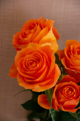 オレンジ色のバラ