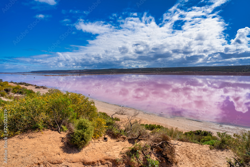 Wall mural Colors and reflections of Pink Lake, Port Gregory. Western Australia