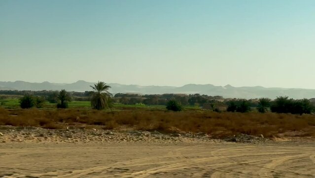 Landscape with desert and green fields near the Nasser lake in Egypt