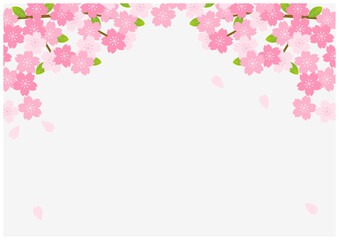 Obraz na płótnie Canvas 桜の花が美しい春の桜フレーム背景19灰色
