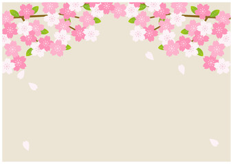 桜の花が美しい春の桜フレーム背景19麹色