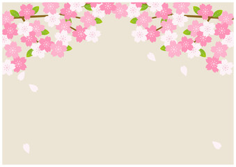 Fototapeta premium 桜の花が美しい春の桜フレーム背景19麹色