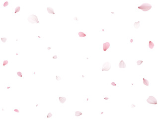 Fototapeta na wymiar Realistic Sakura Petals.