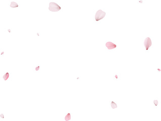 Sakura flying petals, romantic background.