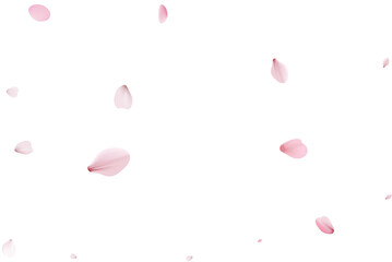 Sakura flying petals, romantic background.