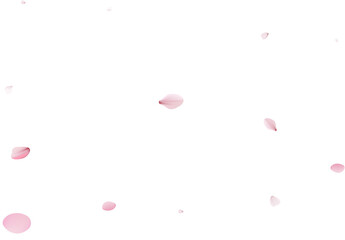 Sakura flying petals, romantic background.