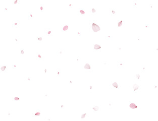 Fototapeta na wymiar Sakura flying petals, romantic background.