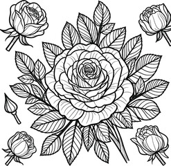 coloring page, rose flower line art illustration, cartoon style, no shading, illustration
