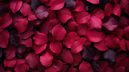 beautiful red rose fantasy inspired round leaves, wallpaper design - obrazy, fototapety, plakaty