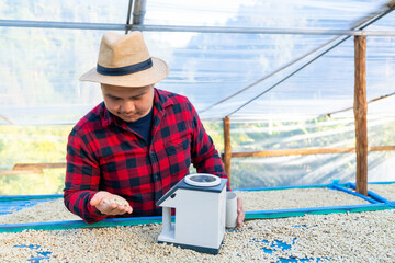 Asian man farmer drying raw coffee beans in the sun at coffee plantation. Farm worker using coffee bean moisture meter inspect dried organic arabica coffee bean in greenhouse. - obrazy, fototapety, plakaty