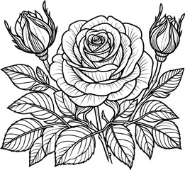 coloring page, rose flower line art illustration, cartoon style, no shading, illustration