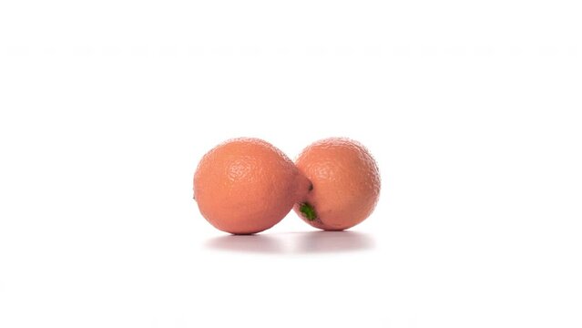Two lemons of popular trendy color peach fuzz are spinning on white background in an empty space.