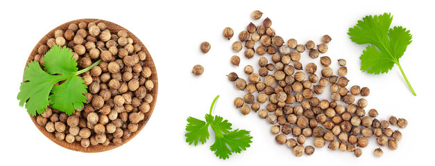 Dried coriander seeds in the wooden bowl with fresh green leaf isolated on white background. Top view. Flat lay
