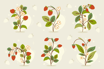 Collection of hand drawn strawberry bushes with leaves and flowers.