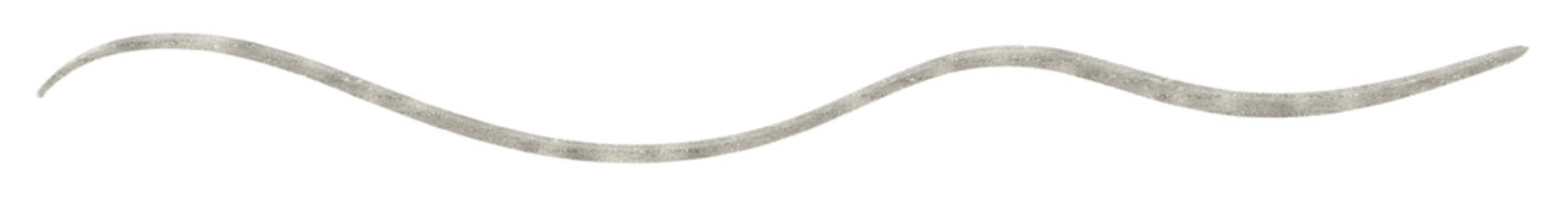 Silver Paint Brush Stroke Wavy Thin Line