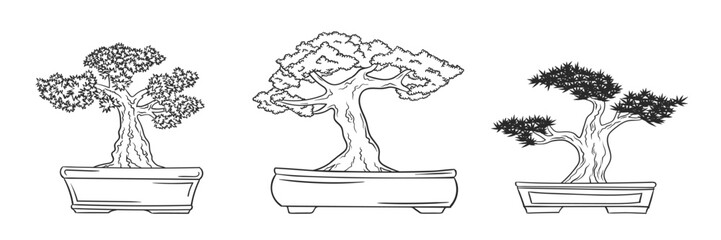 Japanese bonsai tree. Asian doodles set. Bonsai collection. Asia culture symbols. Japanese traditional plant. Bonsai tree sketch.