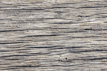 Natural wooden texture for the background. Cross section - obrazy, fototapety, plakaty