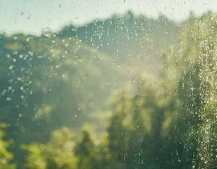 Zelfklevend Fotobehang Misty rainy forest landscape viewed through wet window glass. © Kati Lenart