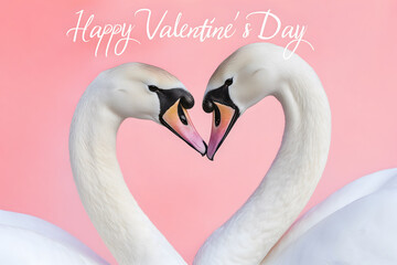 Fototapeta premium A pair of white swans with their long necks forming a heart shape, with the text 