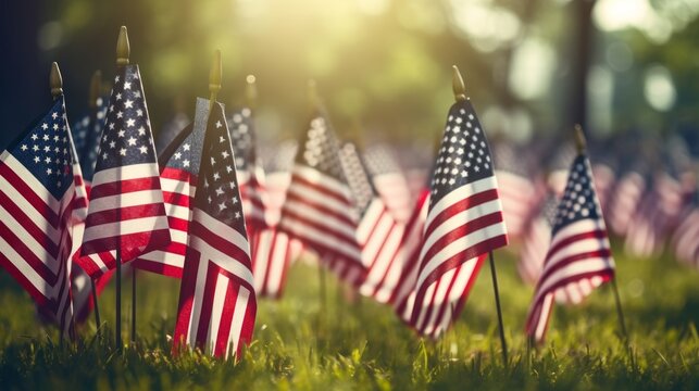 Memorial Day Flags in Cemetry, patriotic American image