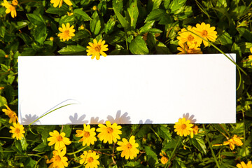 White sign on grass and plants