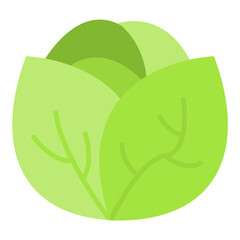 Cabbage icon vector image. Can be used for Fruits and Vegetables.