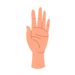 A human hand with an open palm. The gesture of the hello sign, stop sign. The palm showing number five. Sign language and body language. Vector graphic illustration isolated on a white background