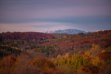 Picturesque autumn landscape with mountains in the background. Vast multicolored forest in sunny weather