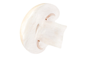 Half of a champignon isolated on a transparent background.