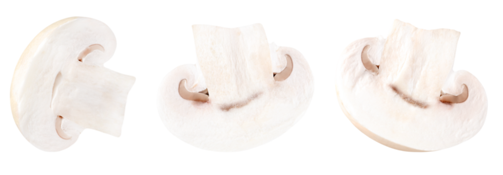 Set of a champignons isolated on a transparent background.