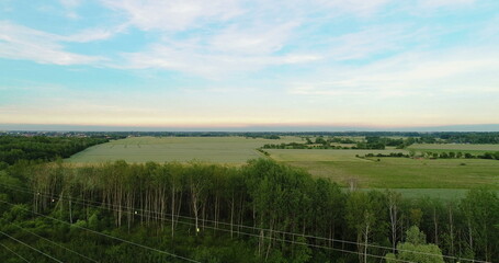 Aerial view of Forest