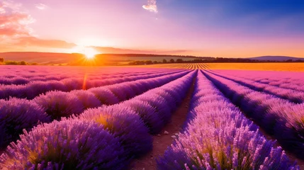 Fotobehang Beautiful Lavender field sunset and lines. © Ирина Старикова