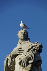 Vögel auf der Karlsbrücke in Prag