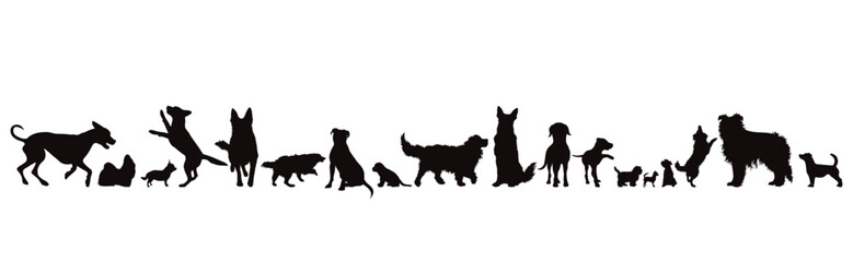 Set of vector silhouettes of different dogs in different positions on a white background. Dog and pet symbol. - obrazy, fototapety, plakaty