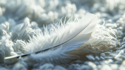 A single delicate white feather on a textured surface
