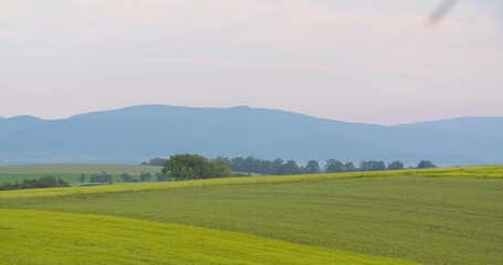 Crops Growing In Farm Against Sky