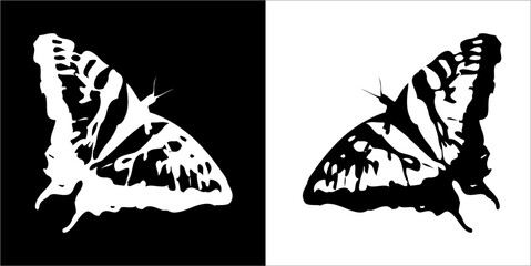 Illustration vector graphics of butterfly icon