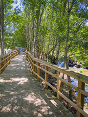 Obraz premium Arda walkways in Arouca municipality, Aveiro - Portugal