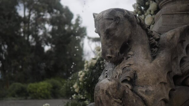 Beautiful classic fountain with antique horse 