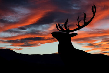 Silhouette of a deer looking at the landscape at sunset. Symbol of wild animals and nature.