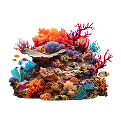 coral reef isolated PNG on transparent background
